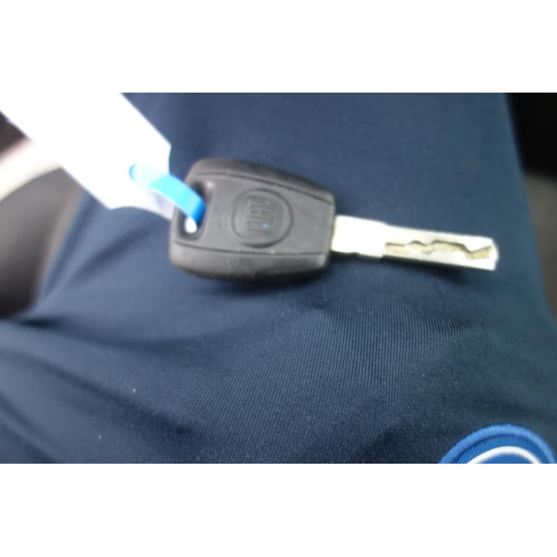 Porte arriere gauche FIAT PANDA 2 Photo n°11