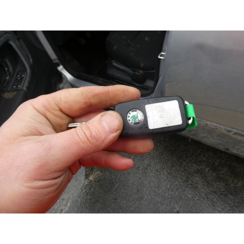 Porte arriere droit SKODA ROOMSTER Photo n°9