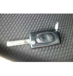Porte arriere droit PEUGEOT 207