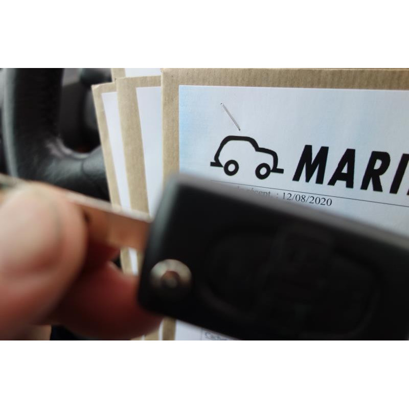 Poignee interieur arriere droit CITROEN C8 Photo n°9