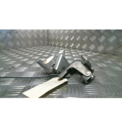 Charniere de porte arriere gauche RENAULT FLUENCE