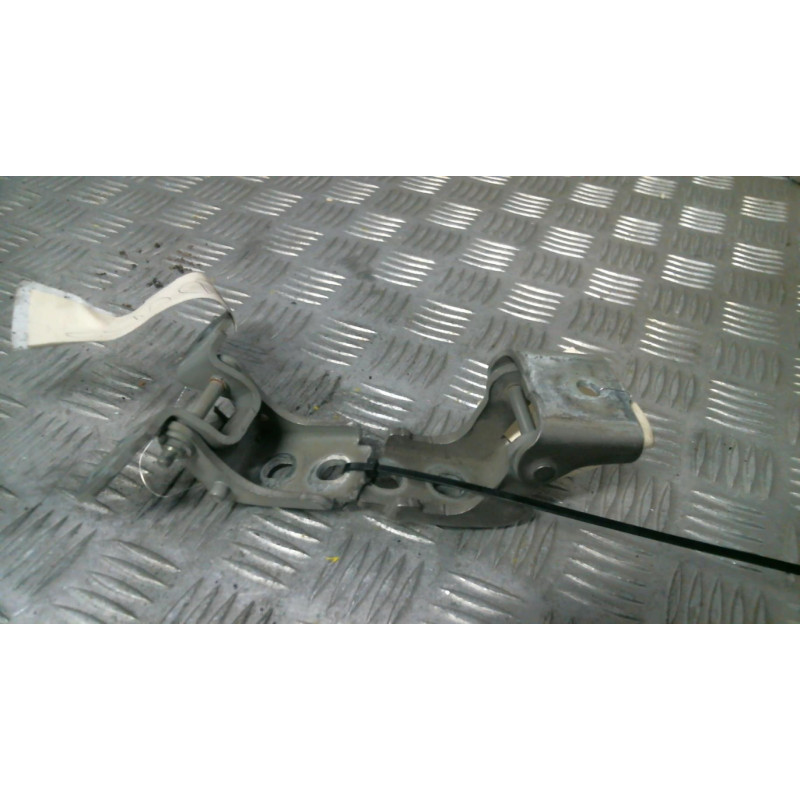 Charniere de porte avant droit RENAULT FLUENCE Photo n°1