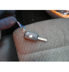 Porte arriere gauche PEUGEOT 307