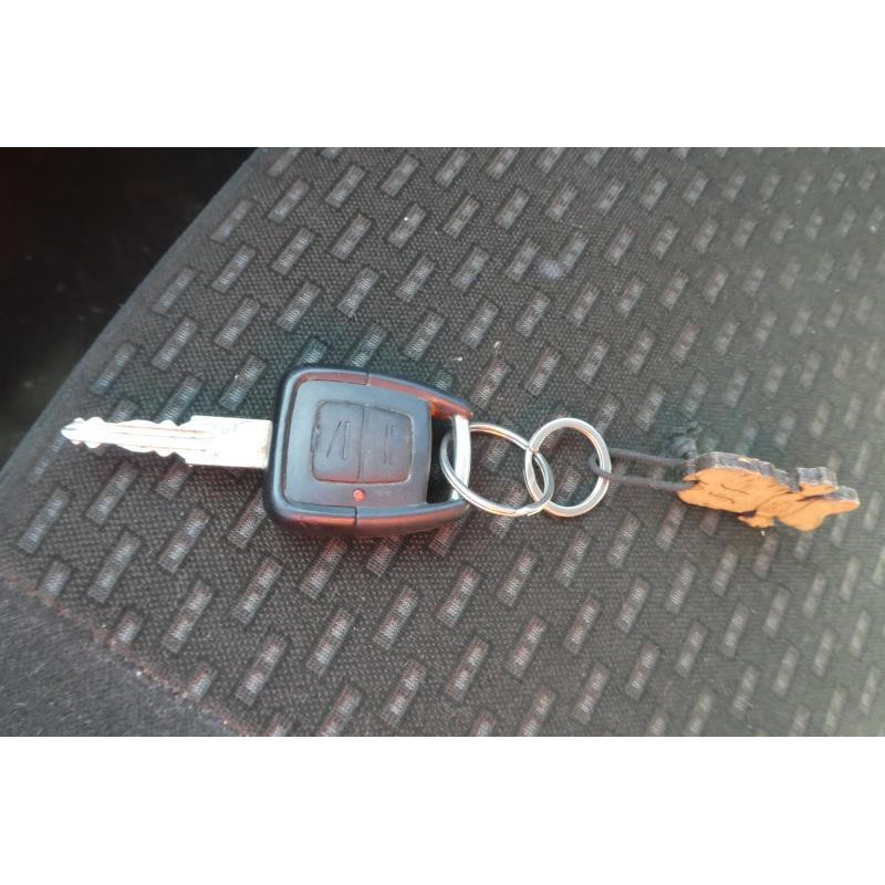 Porte arriere droit OPEL ZAFIRA A Photo n°14