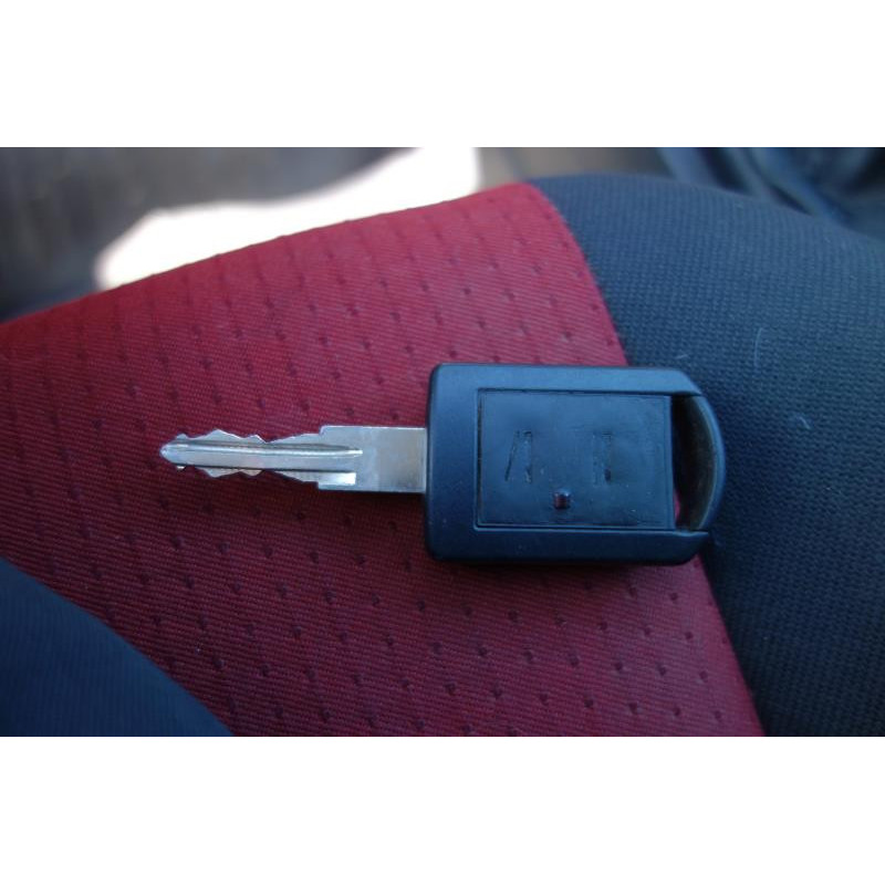 Porte avant droit OPEL MERIVA A Photo n°12