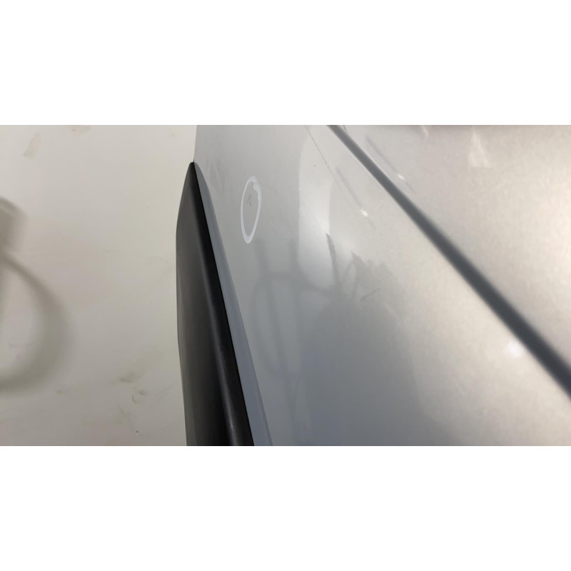 Porte arriere gauche RENAULT SCENIC 1 Photo n°1