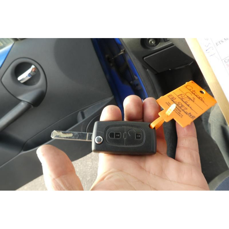 Porte avant gauche CITROEN C3 PLURIEL Photo n°6