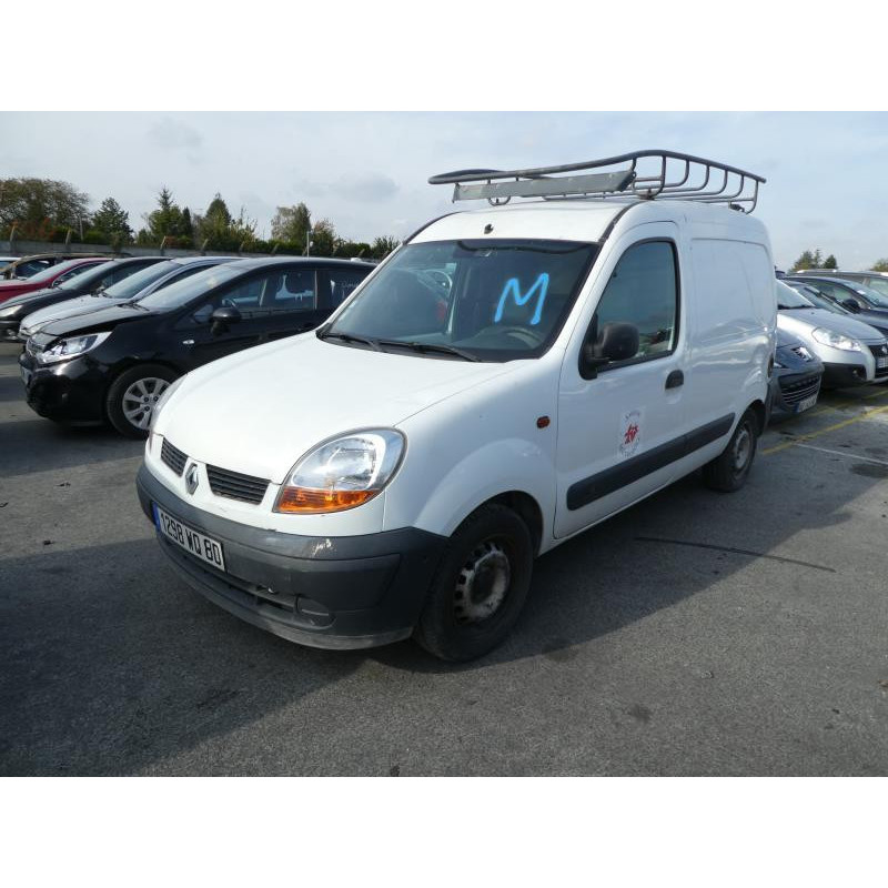 Porte de coffre droit RENAULT KANGOO 1 Photo n°3