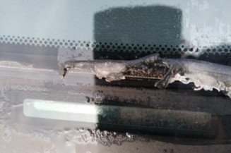 Pedale d'accelerateur LEXUS IS 2