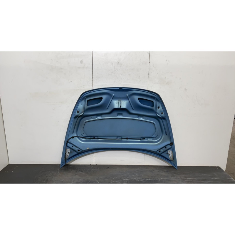 Capot CITROEN C3 PLURIEL Photo n°1