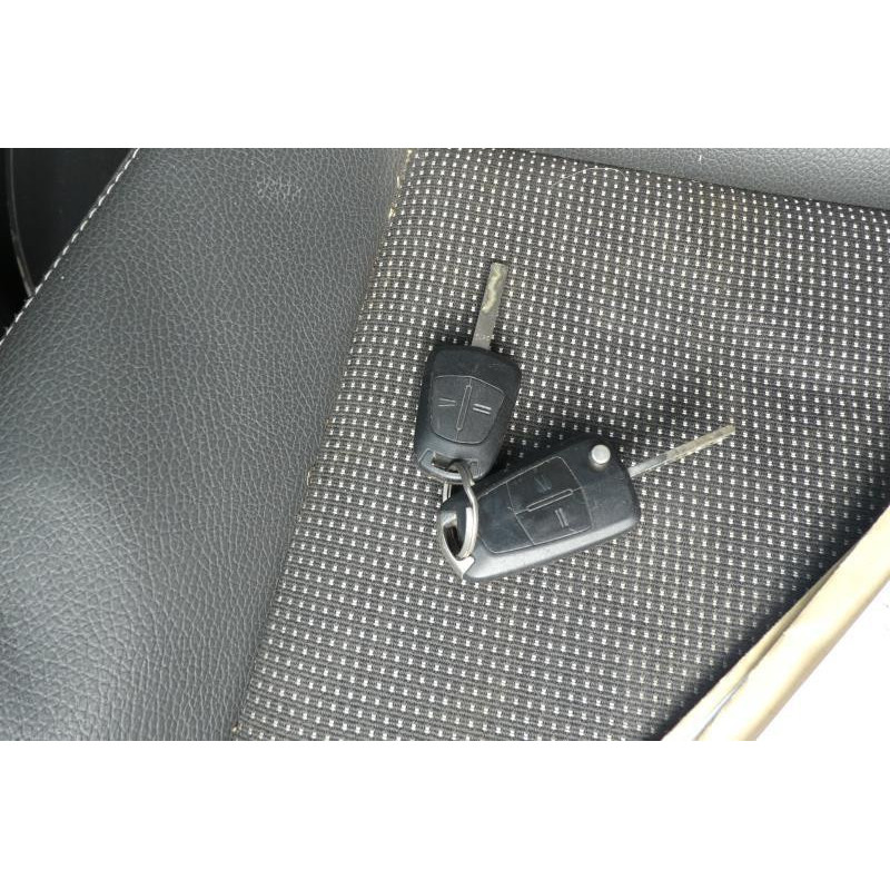 Calandre OPEL ZAFIRA B Photo n°12