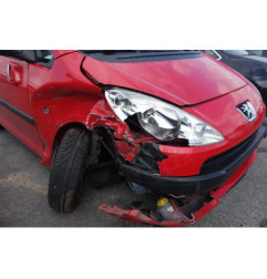 Capot PEUGEOT 1007