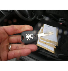 Porte avant gauche PEUGEOT 307