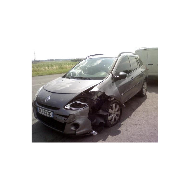 Porte arriere gauche RENAULT CLIO 3 Photo n°3