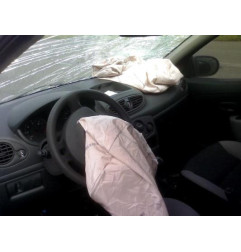 Porte arriere gauche RENAULT CLIO 3