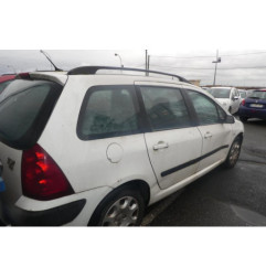 Porte arriere gauche PEUGEOT 307