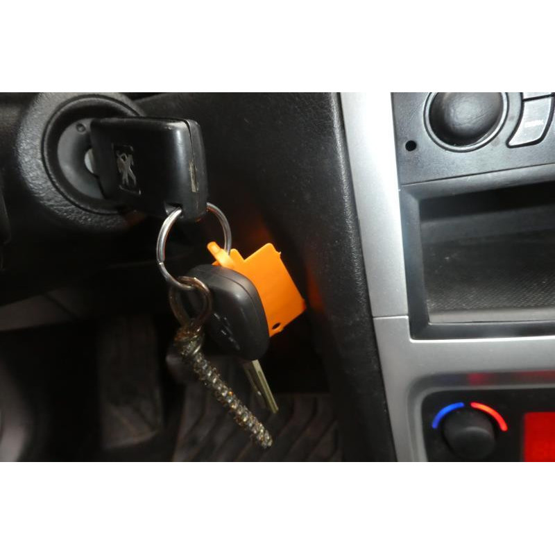 Porte arriere gauche PEUGEOT 307 Photo n°5