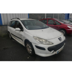 Porte arriere gauche PEUGEOT 307