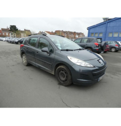 Porte arriere gauche PEUGEOT 207
