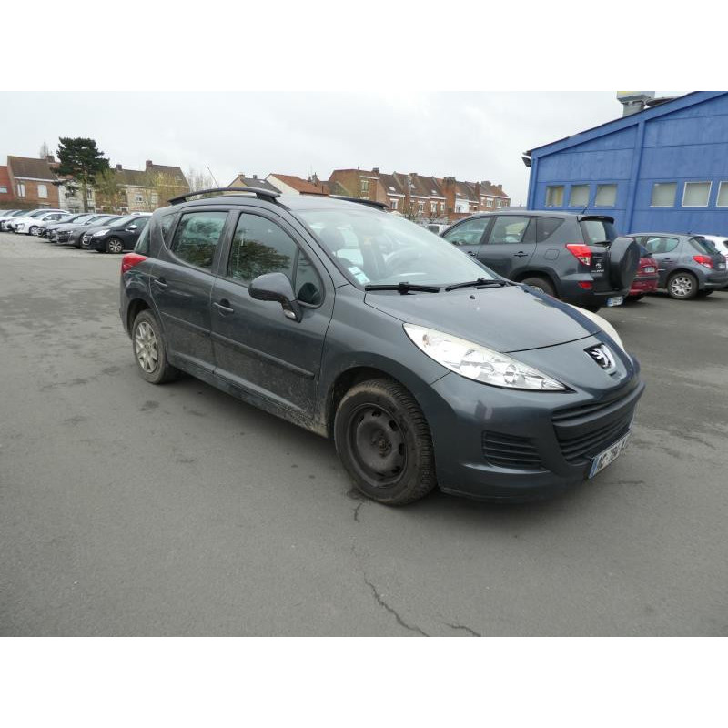 Porte arriere gauche PEUGEOT 207 Photo n°3