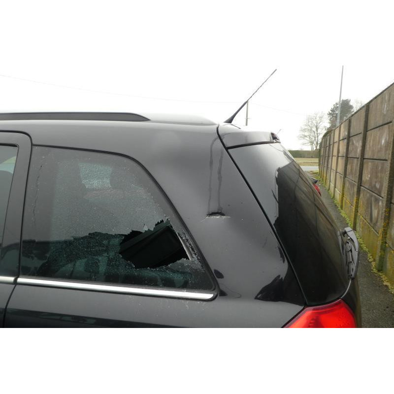 Porte avant gauche OPEL ZAFIRA B Photo n°4