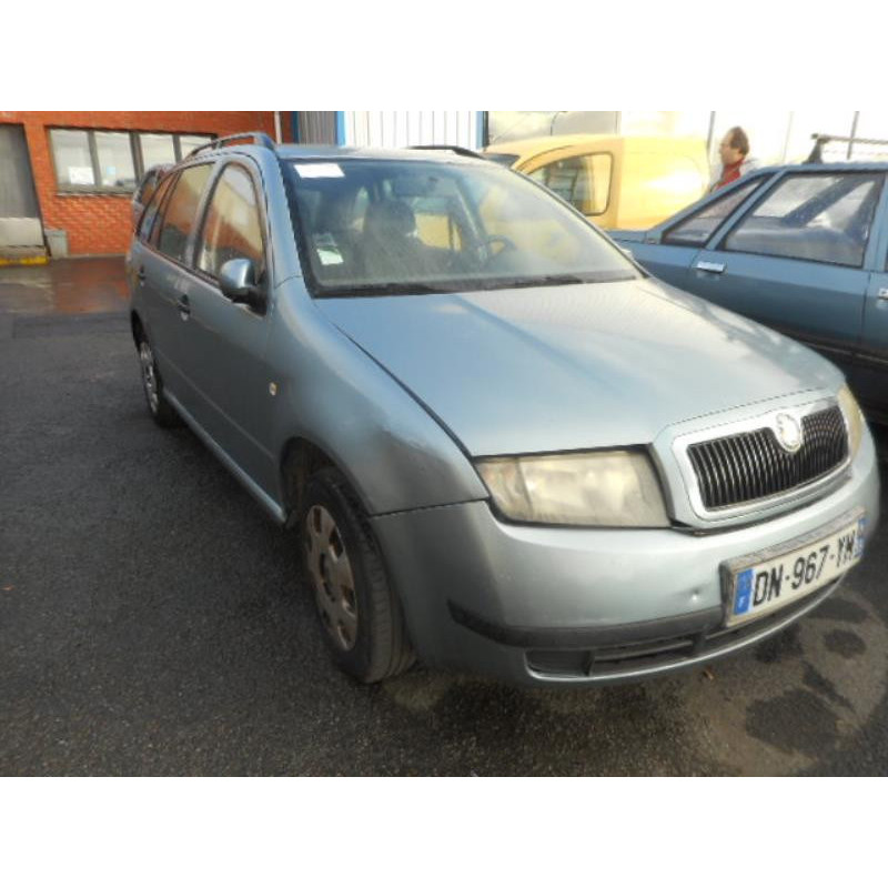 Porte arriere droit SKODA FABIA 1 Photo n°6