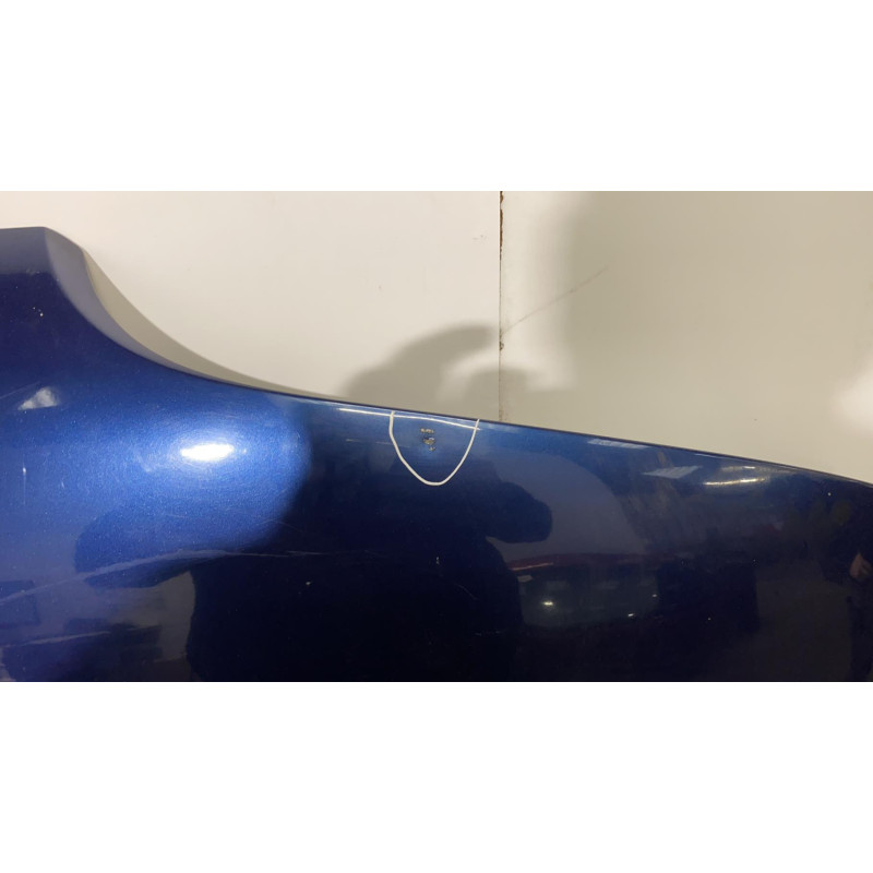 Capot RENAULT SCENIC 1 Photo n°1