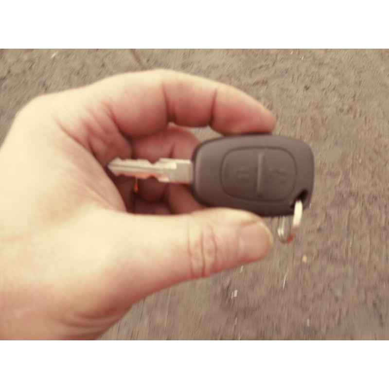 Porte de coffre droit RENAULT KANGOO 1 Photo n°4