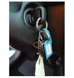 Porte arriere gauche RENAULT CLIO 2