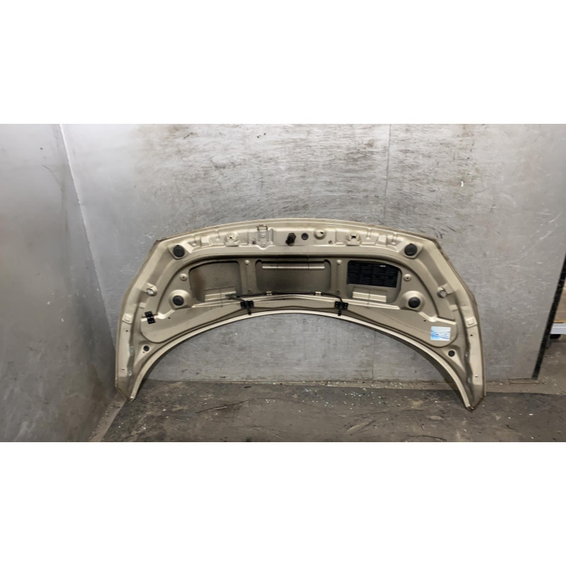 Capot RENAULT SCENIC 2 Photo n°1