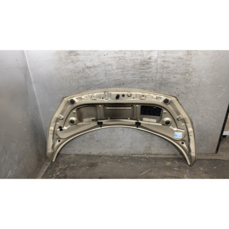 Capot RENAULT SCENIC 2 Photo n°1