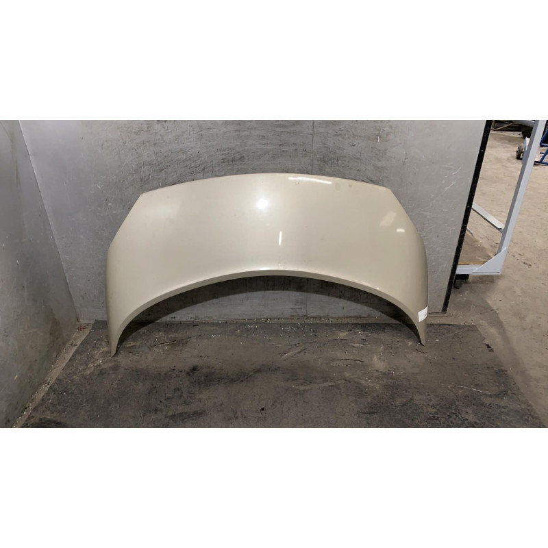 Capot RENAULT SCENIC 2 Photo n°2