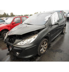 Porte arriere gauche PEUGEOT 307