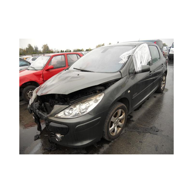 Porte arriere gauche PEUGEOT 307 Photo n°3