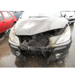 Porte arriere gauche PEUGEOT 307