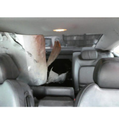 Pare soleil droit PEUGEOT 407