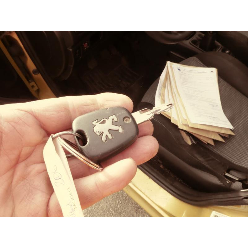 Porte arriere droit PEUGEOT 206 Photo n°3