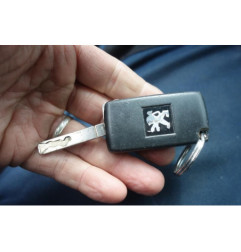 Retroviseur gauche PEUGEOT 407