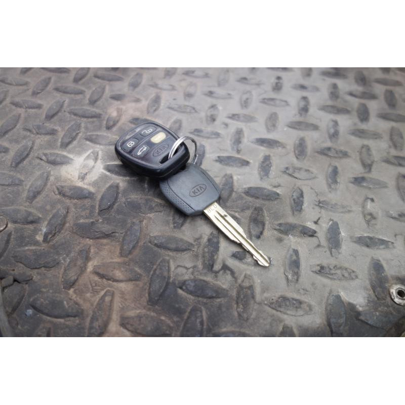 Porte avant droit KIA SORENTO 1 Photo n°9