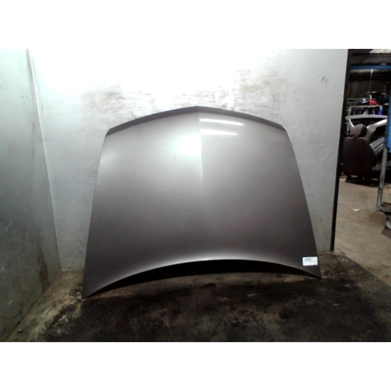 Capot RENAULT VEL SATIS Photo n°2