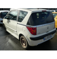 Capot PEUGEOT 1007