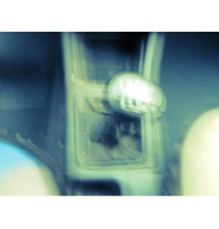 Attache ceinture avant droit CITROEN XANTIA