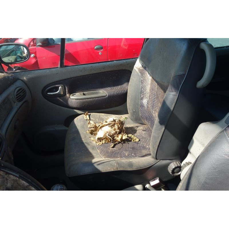 Capot RENAULT SCENIC 1 Photo n°4