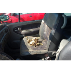 Retroviseur droit RENAULT SCENIC 1