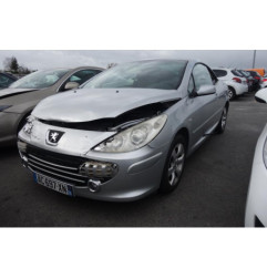 Verin de coffre PEUGEOT 307