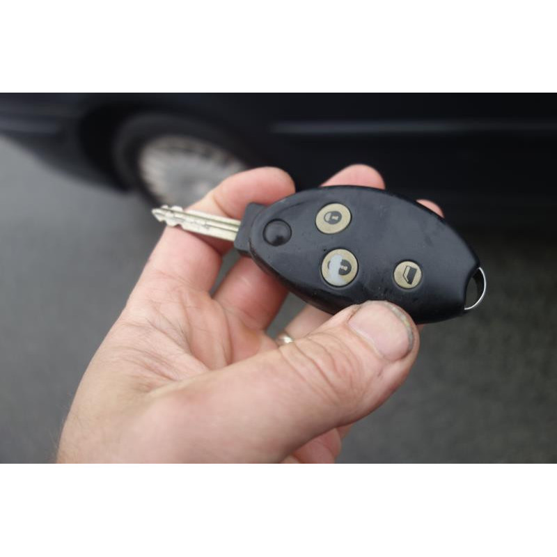 Porte arriere gauche CITROEN C5 1 Photo n°13
