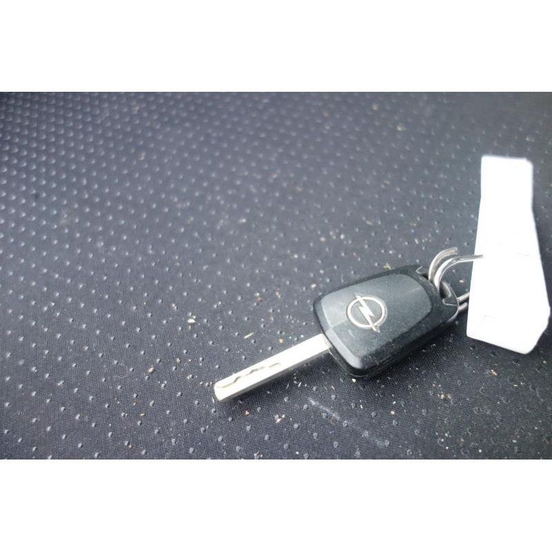 Malle/Hayon arriere OPEL ASTRA H Photo n°11