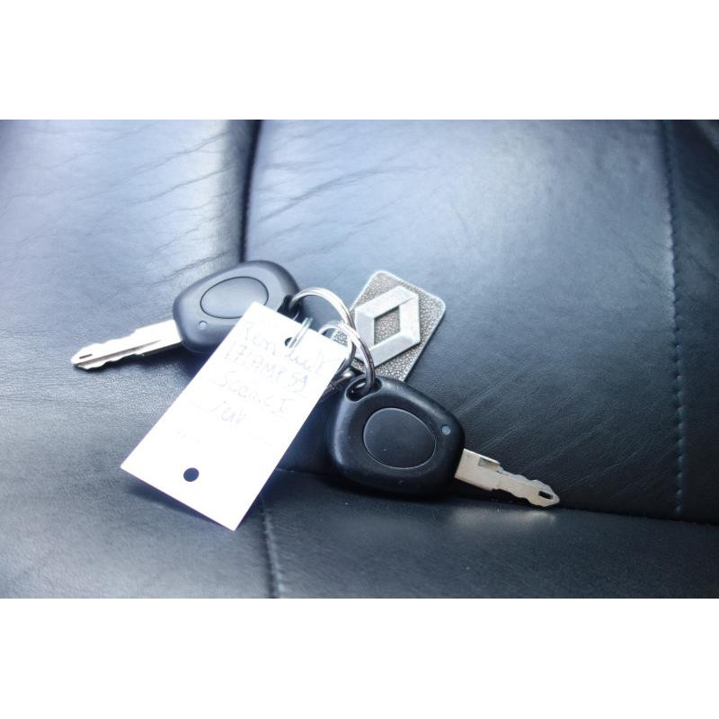 Pare buffle RENAULT SCENIC 1 Photo n°7