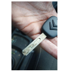 Custode arriere gauche CITROEN C4 GRAND PICASSO 1
