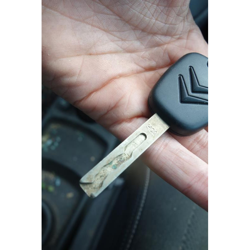 Custode arriere gauche CITROEN C4 GRAND PICASSO 1 Photo n°8